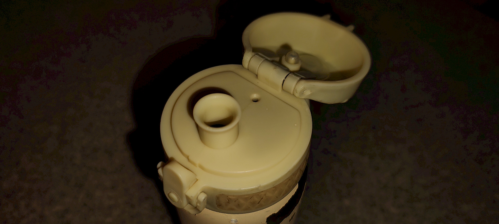 Ion8 Edelstahl-Trinkflasche Gesamtansicht nach 3 Jahren