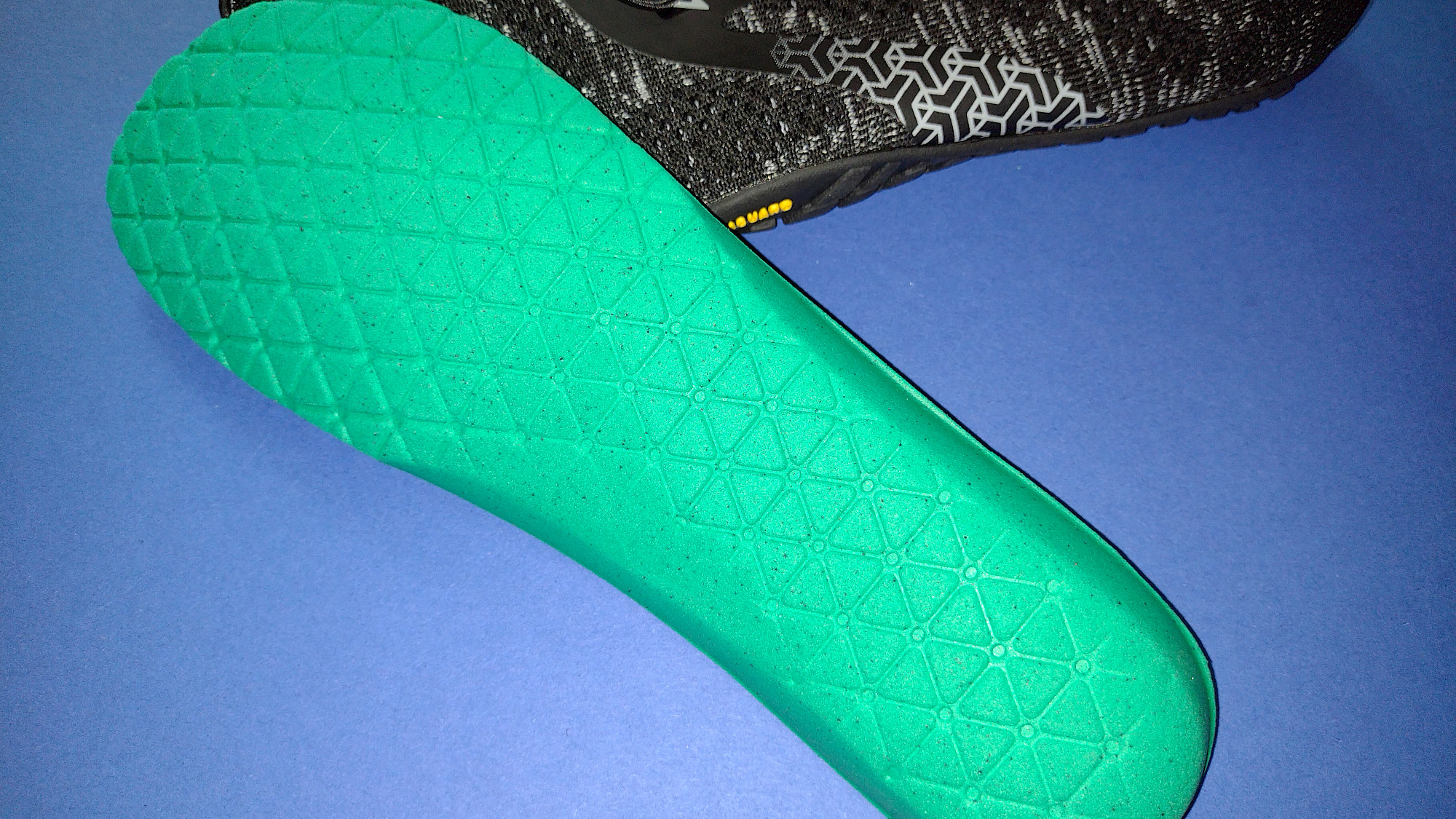 SAGUARO Smart II beim Barfußlaufen auf der Wiese